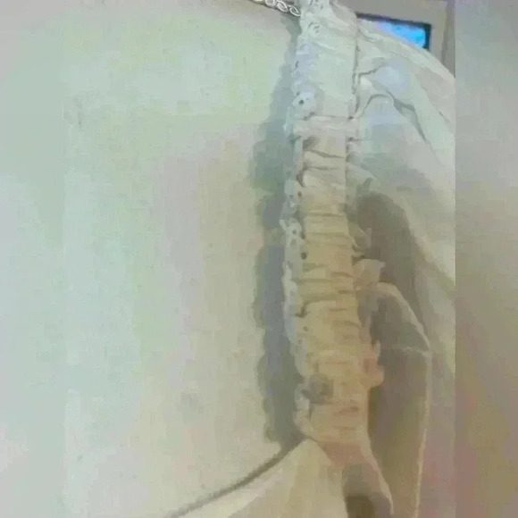 Elie Tahari Whimsical Lace Top 100% Cotton Size Small - Picture 11 of 12